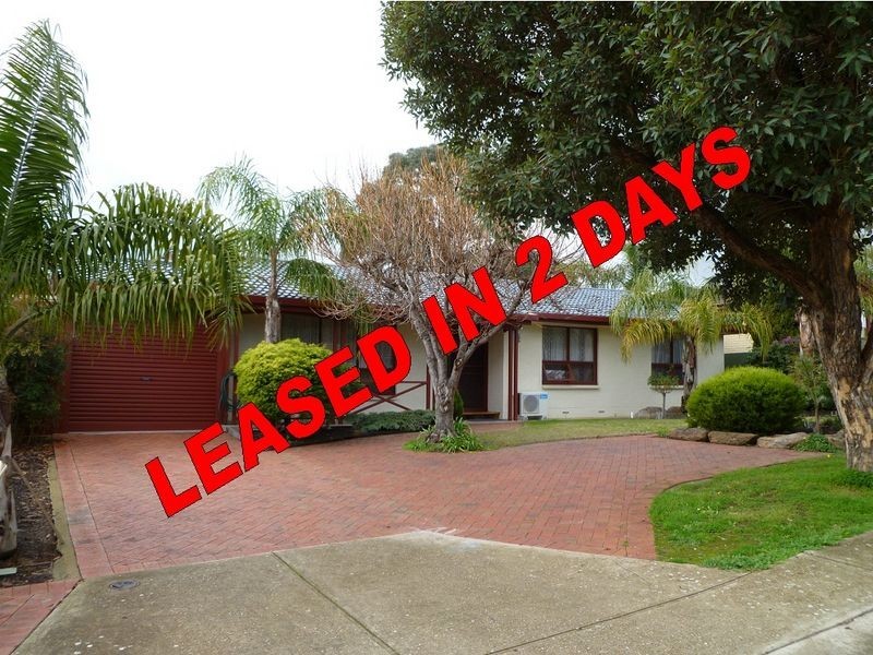 34 Hawke Street, Ridgehaven SA 5097