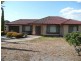 7 Pashen Street, Paradise SA 5075