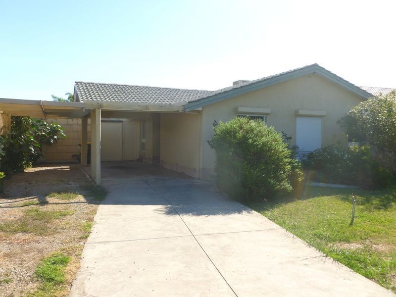 12 Carolyn Grove, Athelstone SA 5076