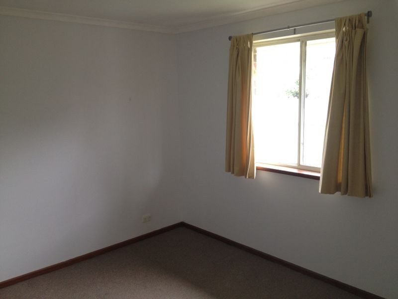 31 Stradbroke Road, Athelstone SA 5076