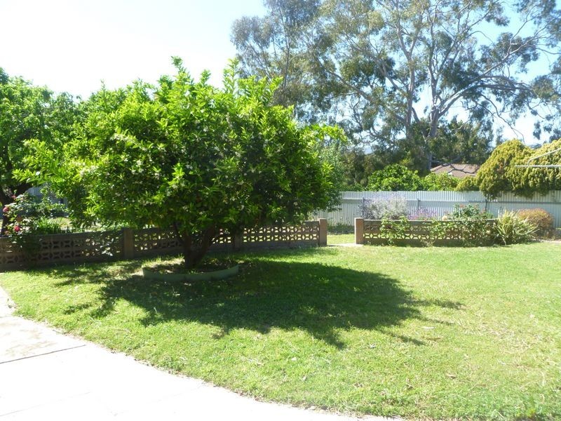 24 Clarence Ave, Klemzig SA 5087