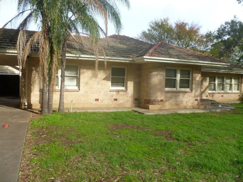 56 Birkinshaw Avenue, Tranmere SA 5073