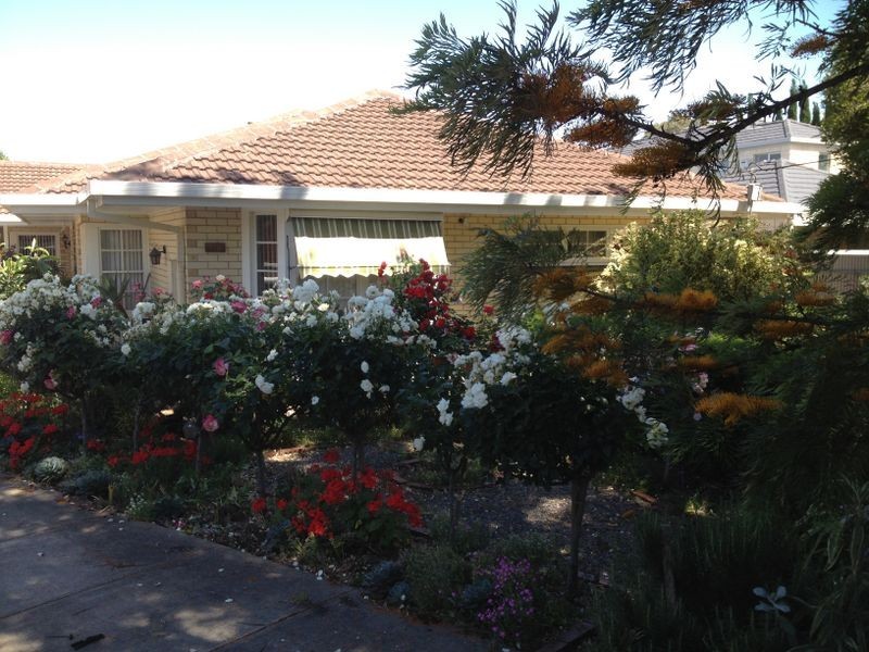17 Sydney Street, Glenside SA 5065
