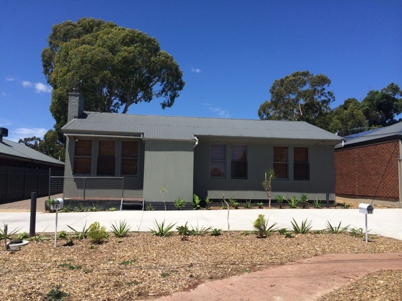 11 Newman Street, Magill SA 5072
