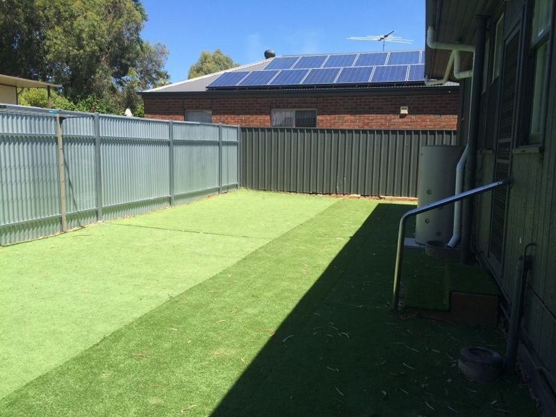 11 Newman Street, Magill SA 5072