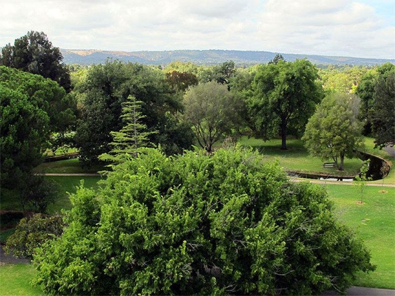 301/83-85 South Terrace, Adelaide SA 5000