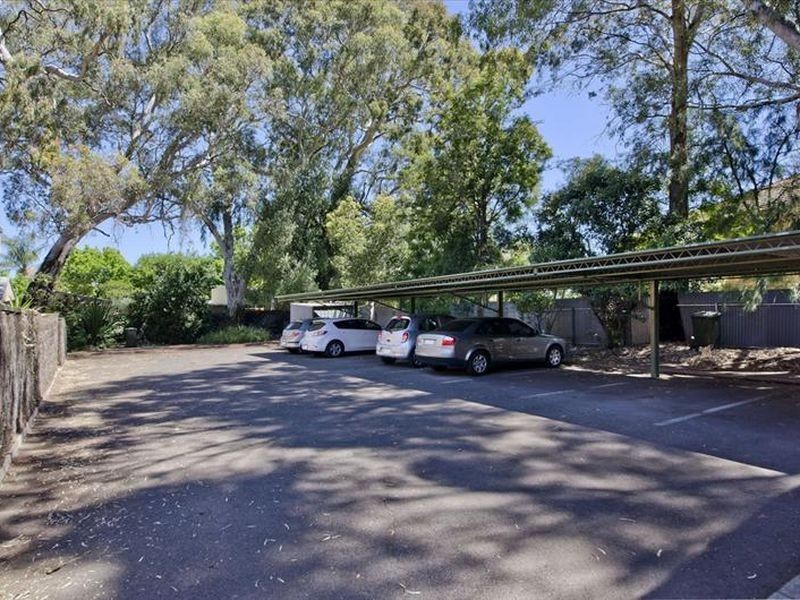 31/62 William Street, Norwood SA 5067