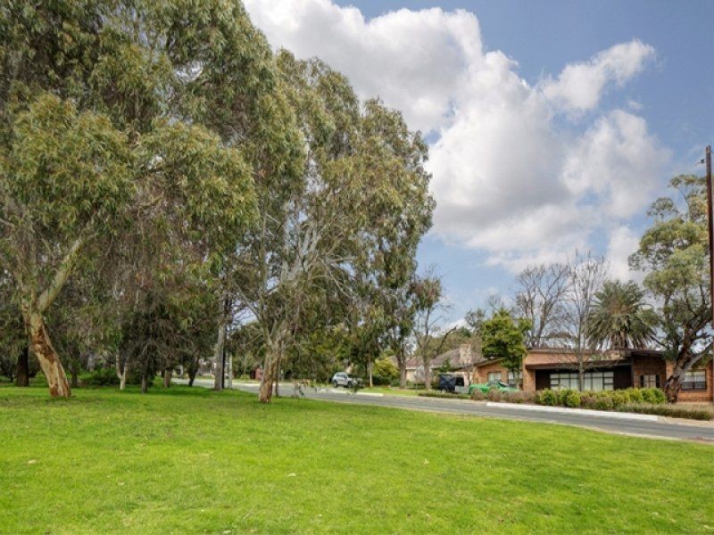 6 Ruskin place, Hazelwood Park SA 5066