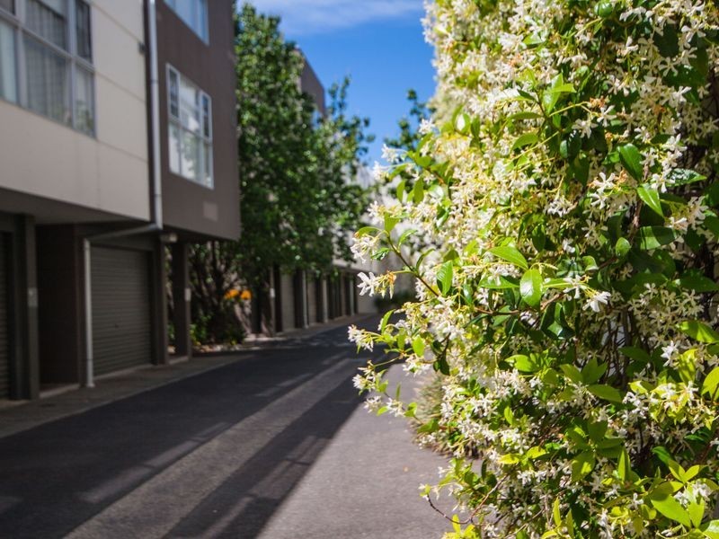 1/172 Wakefield Street, Adelaide SA 5000