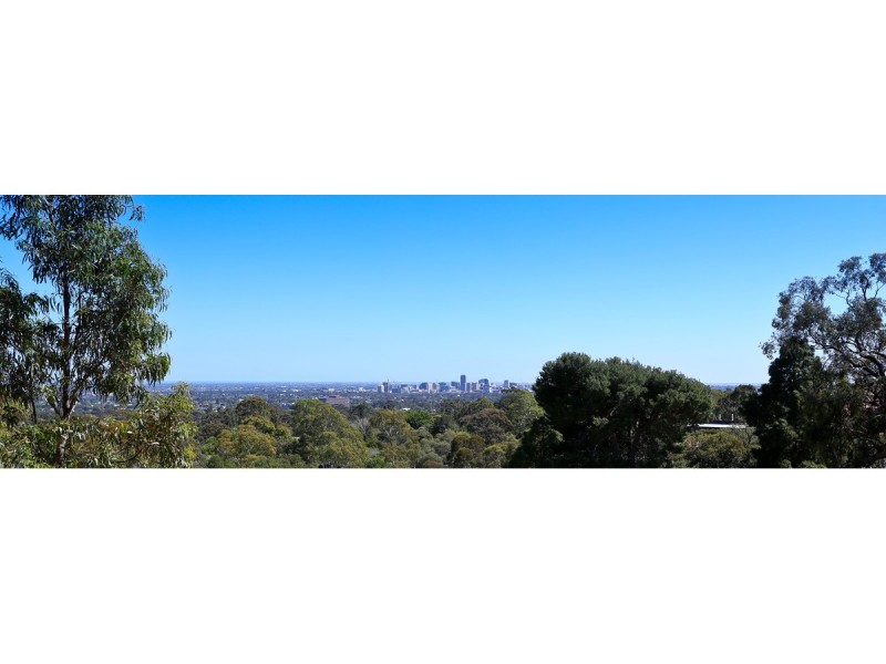 7b Newenham Road, Springfield SA 5062