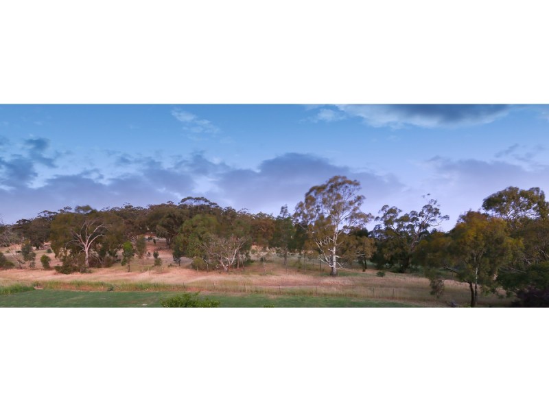 7b Newenham Road, Springfield SA 5062
