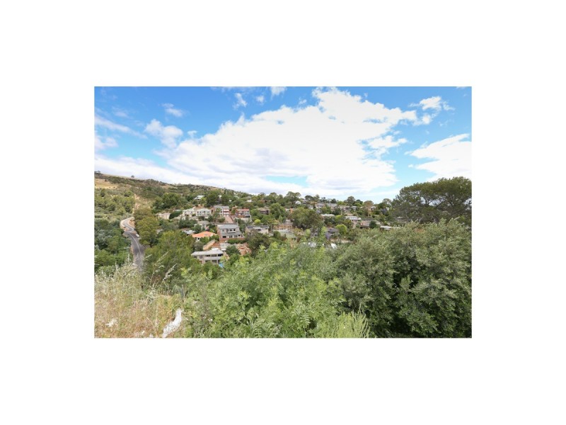 64 Wyatt Road, Burnside SA 5066