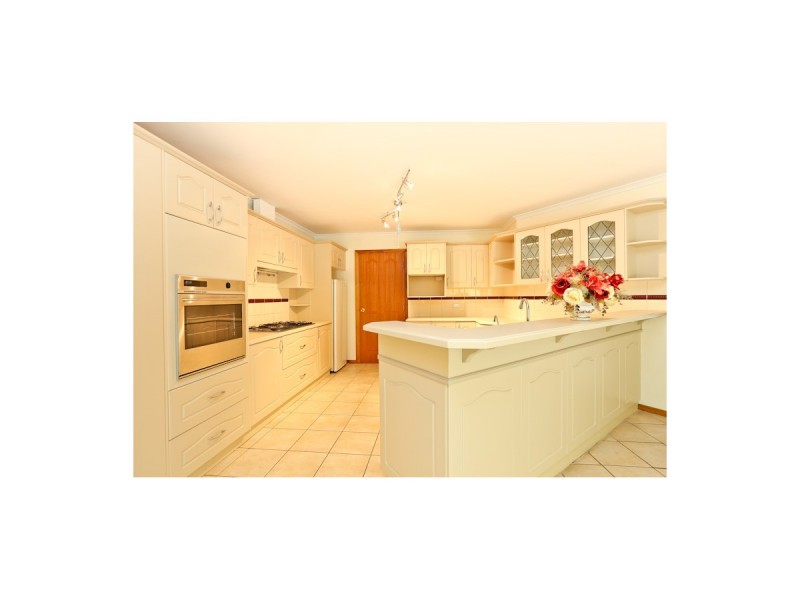 64 Wyatt Road, Burnside SA 5066