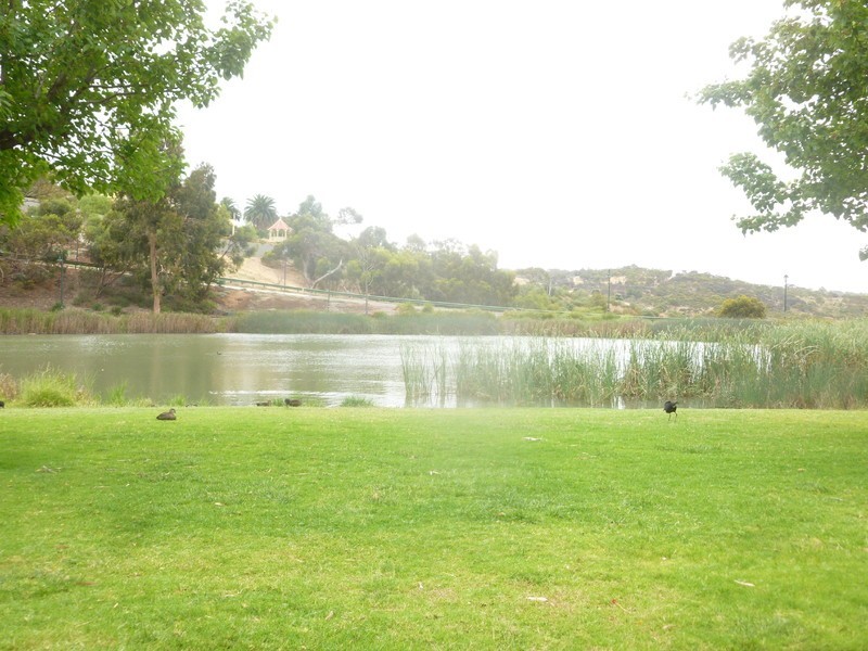 13 St Clair Parade, Greenwith SA 5125