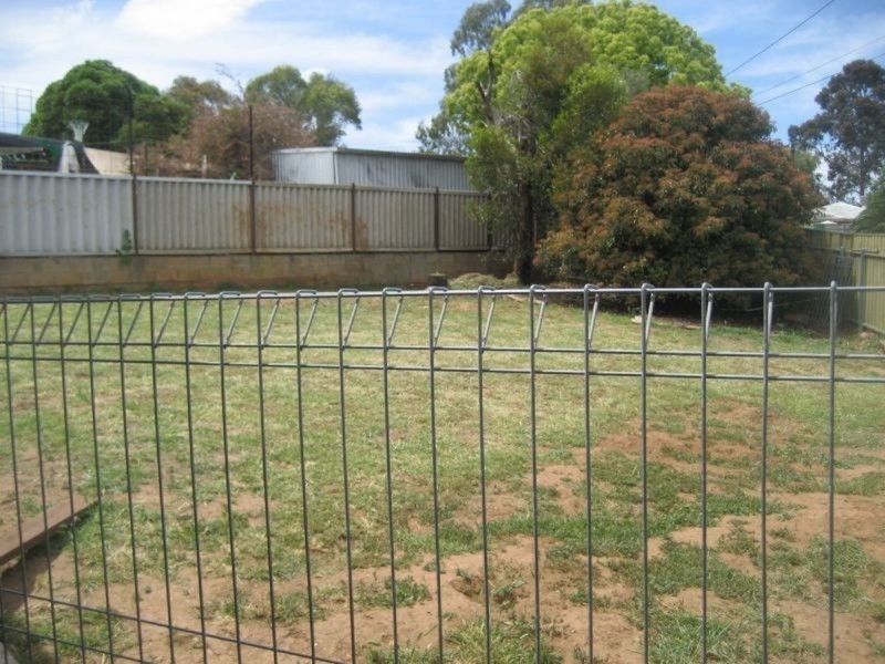 3 Pauline Drive, Surrey Downs SA 5126