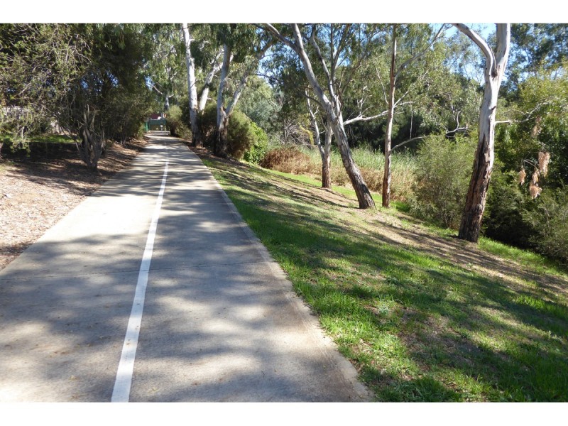 17 St Ives Walk, Paradise SA 5075