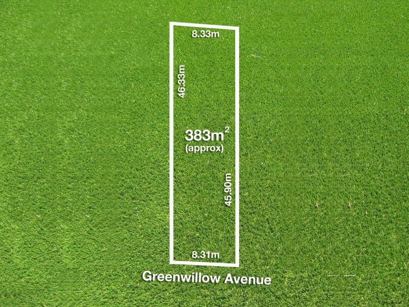 8 Greenwillow Avenue, Paradise SA 5075