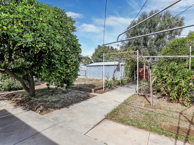 12 Ross Road, Hectorville SA 5073