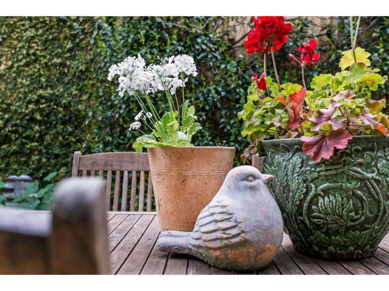 1/29 Edmund Street, Norwood SA 5067