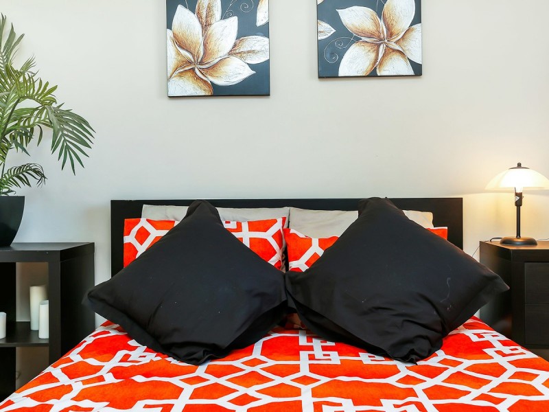 19 Armagh Avenue, Hectorville SA 5073