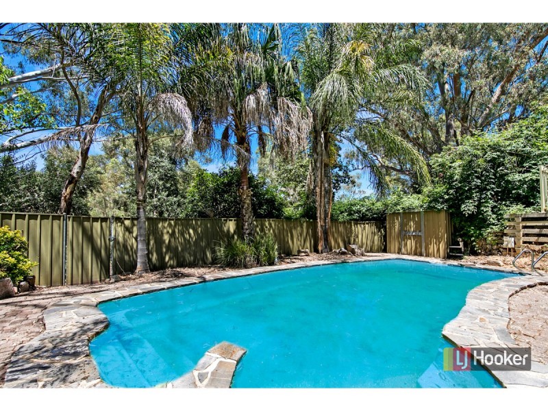 17 Sassafras Drive, Highbury SA 5089