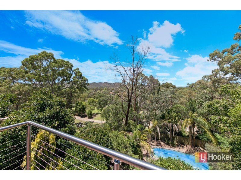 17 Sassafras Drive, Highbury SA 5089