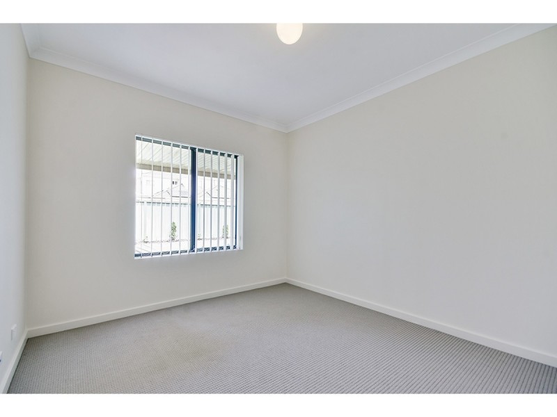 24 Mallard Crescent, Mawson Lakes SA 5095