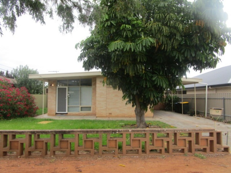 12 Aysgarth Avenue, Hectorville SA 5073