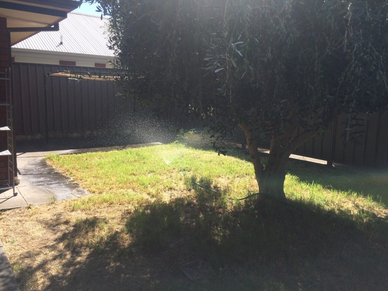 1/47 Graves Street, Newton SA 5074