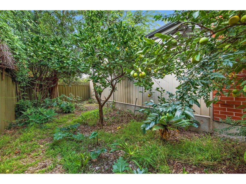 7 Charlotte Place, Norwood SA 5067