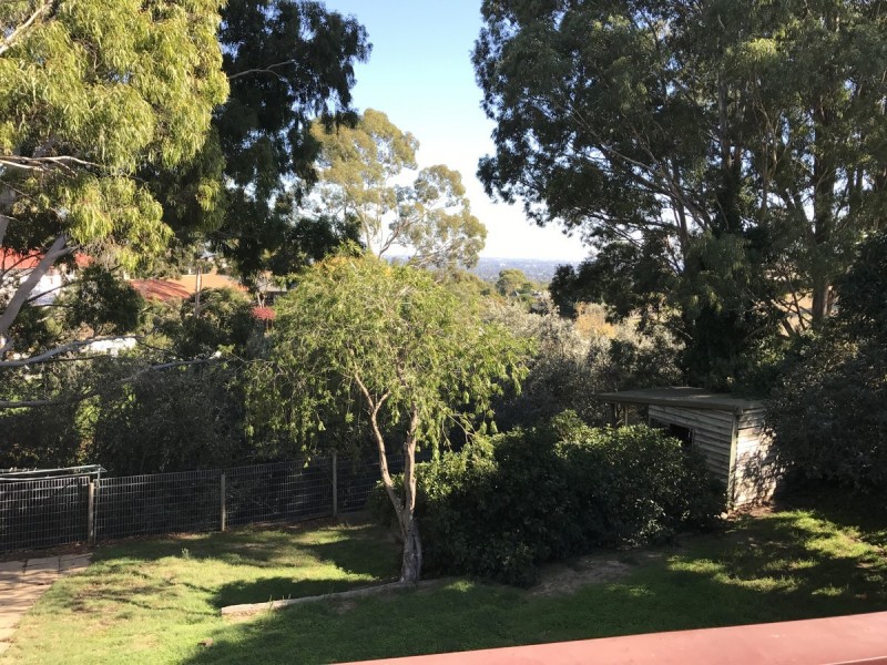 19 Wyfield Street, Wattle Park SA 5066