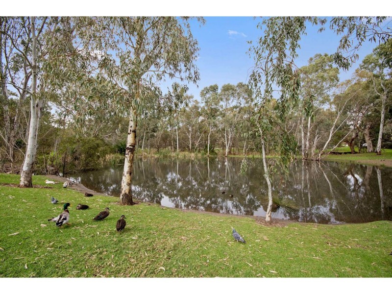3 Walnut Grove, Dernancourt SA 5075