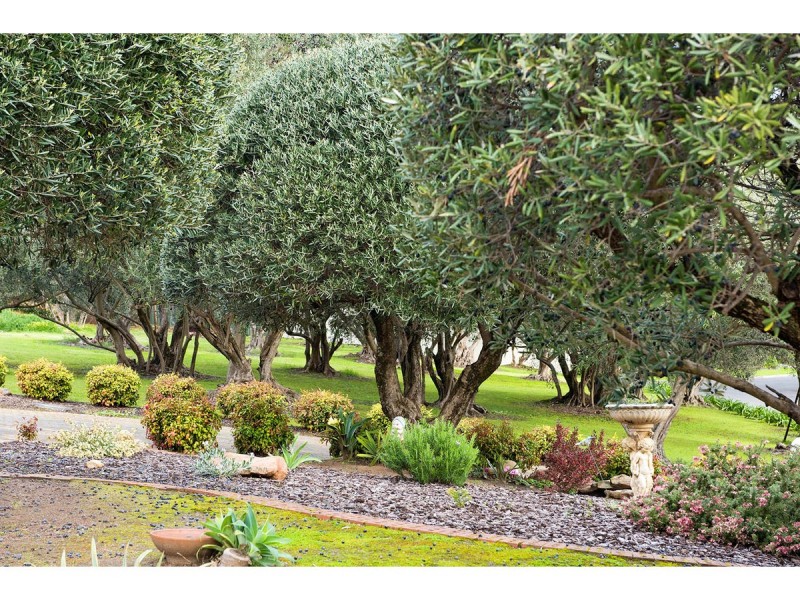 9 Greengate Crescent, Beaumont SA 5066