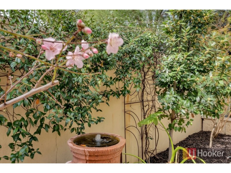 1a Peter Avenue, Campbelltown SA 5074