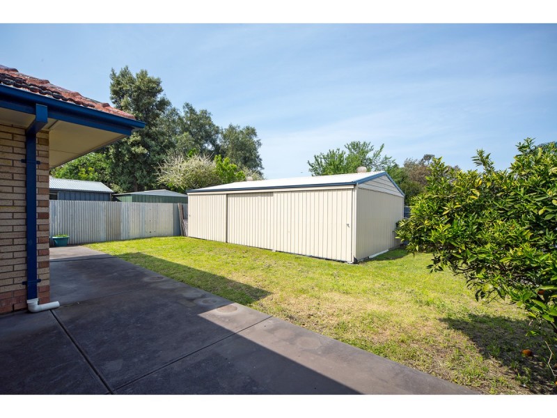 264a Magill Road, Beulah Park SA 5067