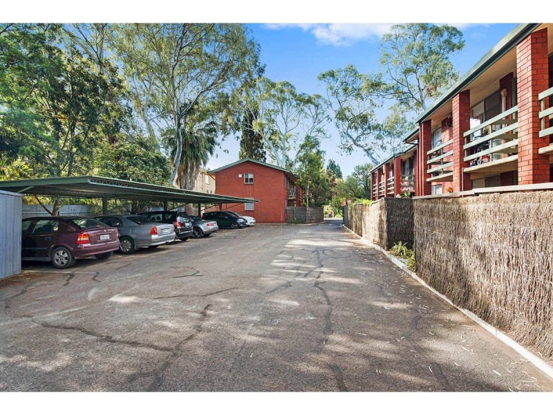 31/62 William Street, Norwood SA 5067