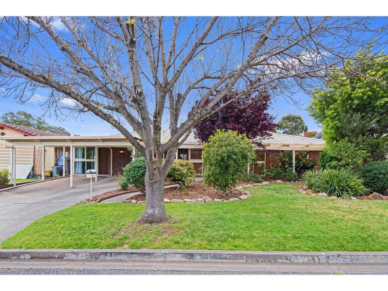 3 Andrea Street, Highbury SA 5089