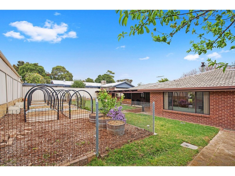 3 Andrea Street, Highbury SA 5089