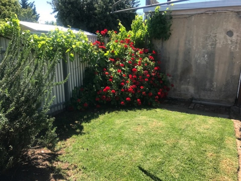 28 Bennett Street, Maylands SA 5069