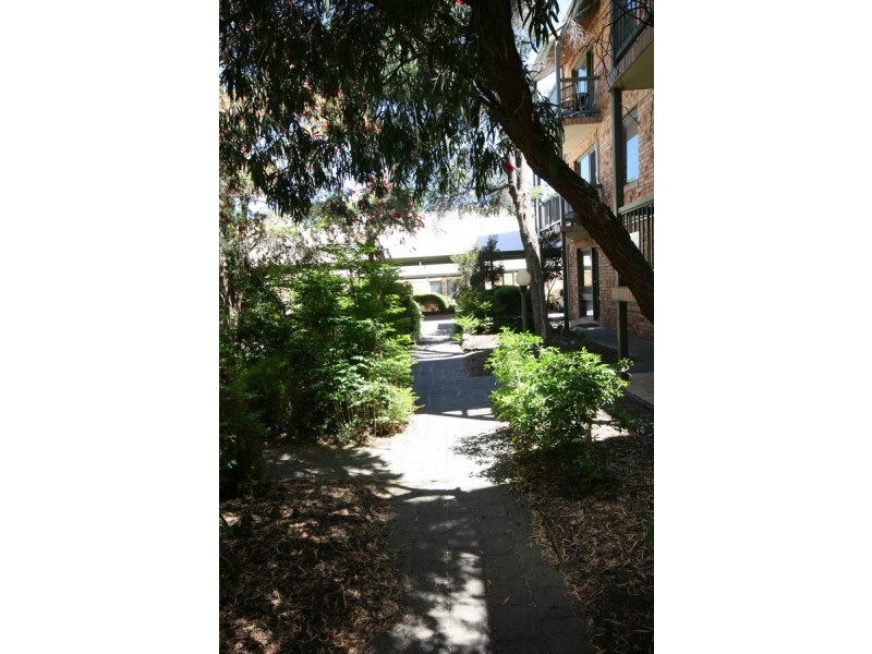 34/22 Cambridge Street, North Adelaide SA 5006
