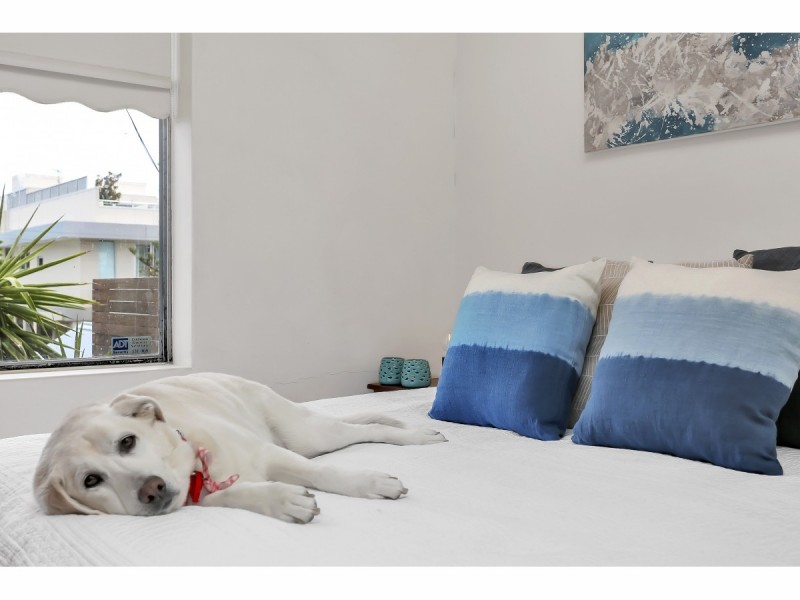 214 Seaview Road, Henley Beach South SA 5022