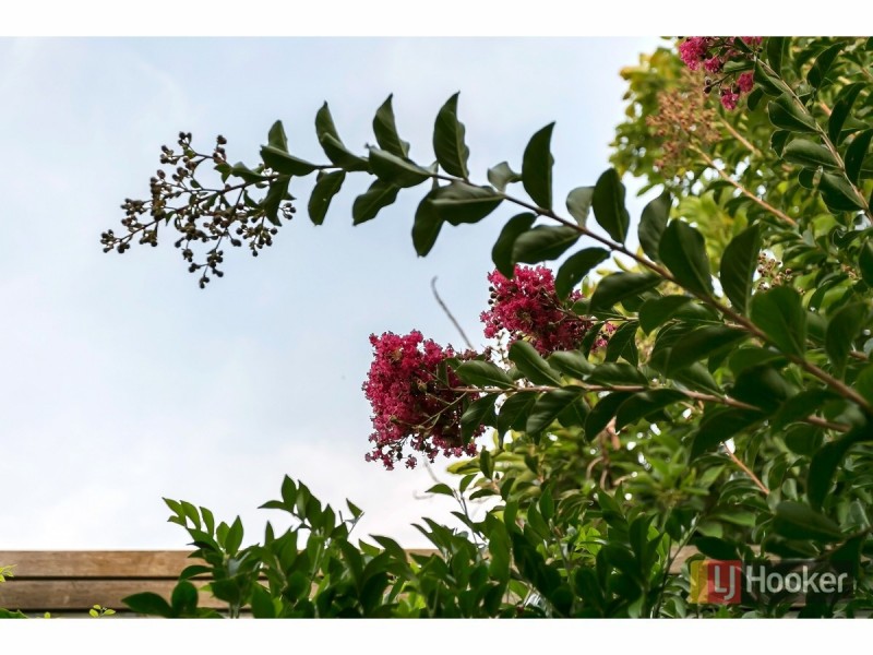 3/14 Brigalow Avenue, Kensington Gardens SA 5068