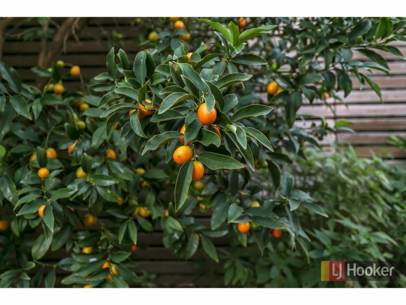 3/14 Brigalow Avenue, Kensington Gardens SA 5068