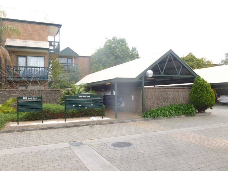 3/388 Carrington Street, Adelaide SA 5000