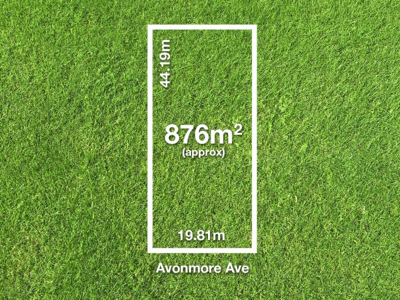 11 Avonmore Avenue, Trinity Gardens SA 5068