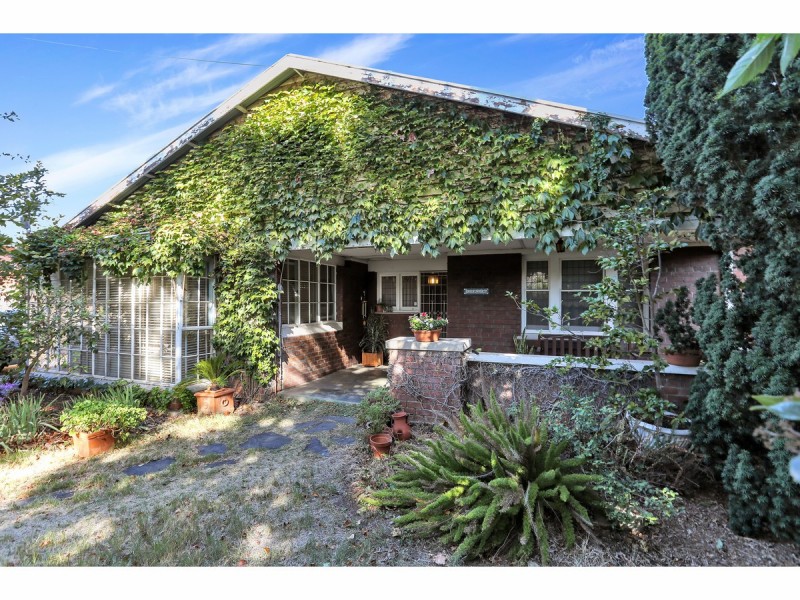11 Avonmore Avenue, Trinity Gardens SA 5068