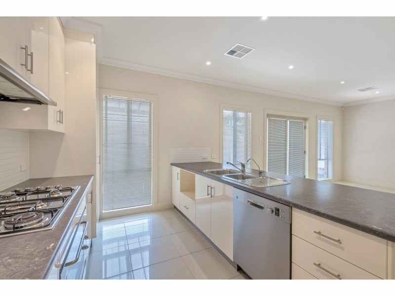 125 Reid Avenue, Hectorville SA 5073