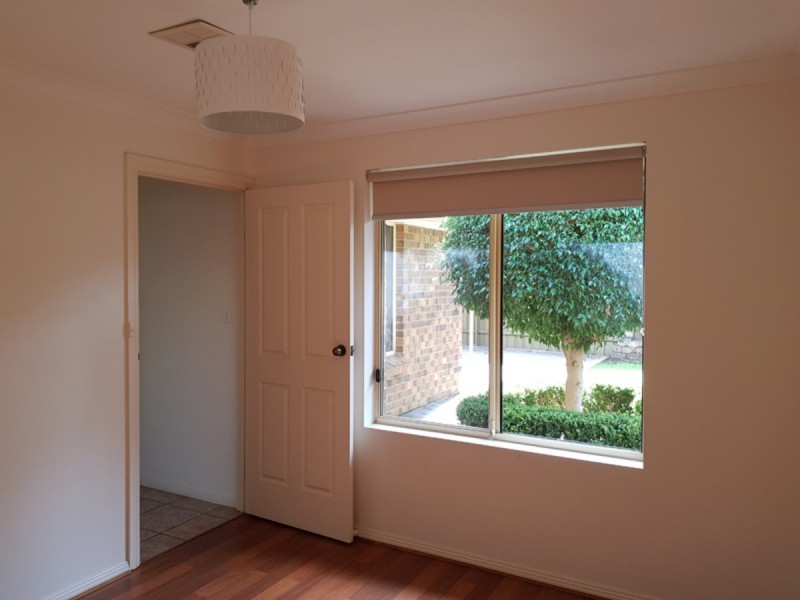 1D Curtis Street, Hectorville SA 5073