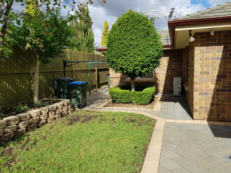 1D Curtis Street, Hectorville SA 5073