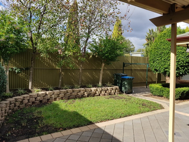 1D Curtis Street, Hectorville SA 5073